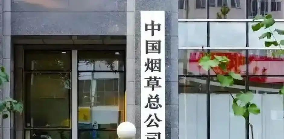 41岁C罗创世界杯历史！当选全场最佳刷新纪录（OD资讯）